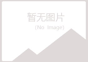 象山区松手工程有限公司